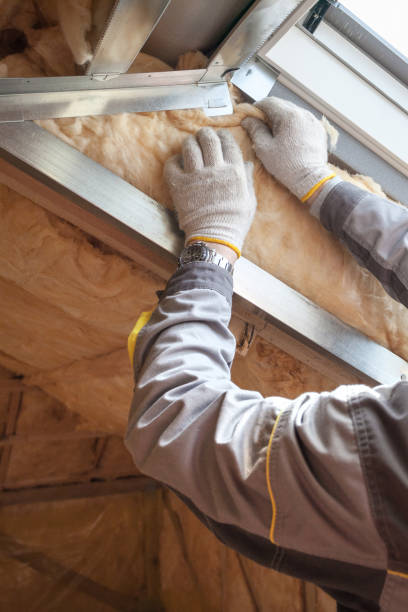 Best Attic Insulation Installation  in Hypoluxo, FL